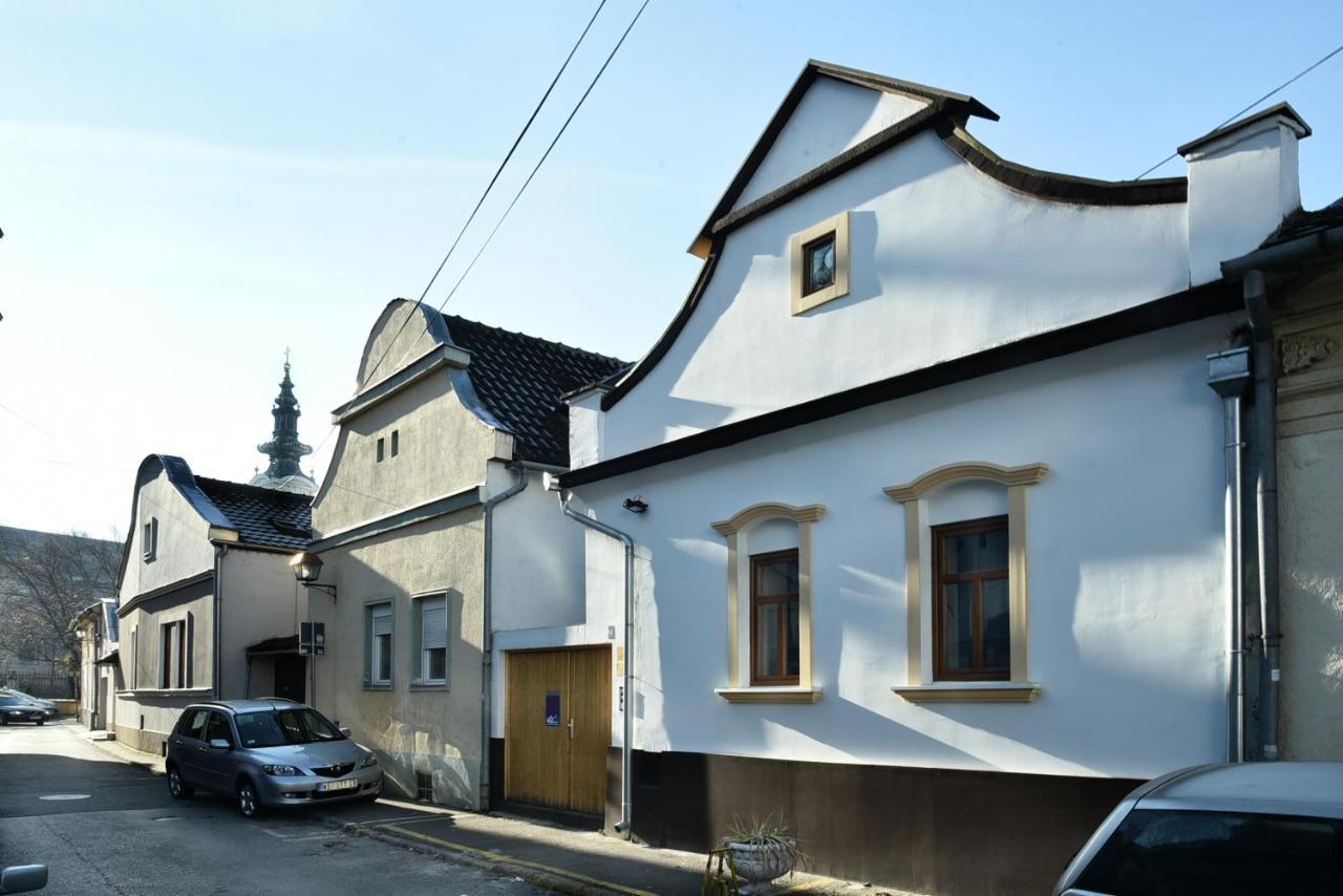 Vajda * Novi Sad